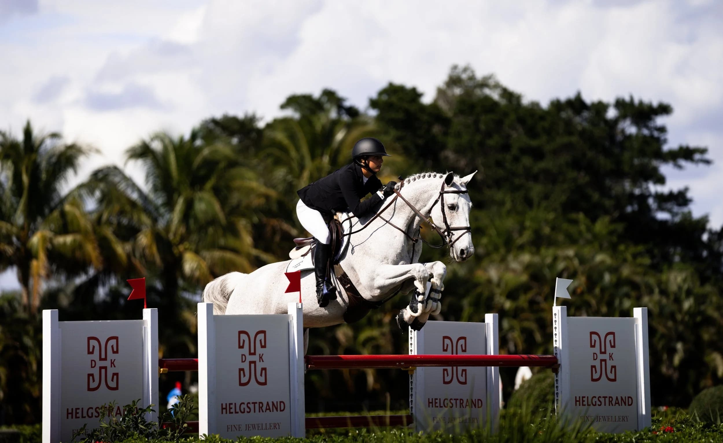 Emma Marlowe and a grey horse over a jump at a winter equestrian festival in Wellington